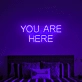 Your Sexiest Body Part is Your Mind: Illuminate Your Space with Neon Intelligence