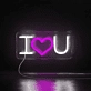 Love Lights Neon Sign