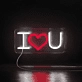 Love Lights Neon Sign