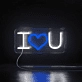 Love Lights Neon Sign