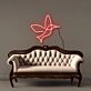 Humming Bird Led Neon