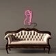 Naked Neon Signs