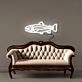 Salmon Neon Signs