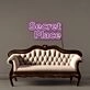 Secret Place Led Neon