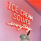 Summer Bliss Ice Cream Solves Everything Neon Sign