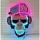 Spoiled Monkey Led Neon Acrylic Artwork