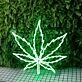 Large Leaf Green Neon Sign