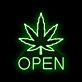 Customize Large Leaf Green Open Neon Signs