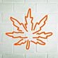 Stoner's Delight Leaf Neon Sign