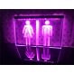 Toilet Washroom Hanging Neon Sign