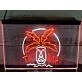 Tiki Bar Palm Mask Two Tone Hanging Neon Sign