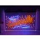 Cocktails & Fizz Two Tone Hanging Neon Sign