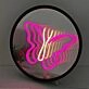 Elegant Butterfly 3D Mirror Effect