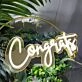 Congrats Gold Backsplash Neon Signs