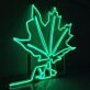 Summer Large Green Leaf Neon Sign