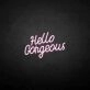 Hello Gorgous2  neon sign