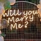 Will You Marry Me Style 2 Proposal Neon Light