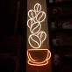 Coffee Beans and Cup Neon Sign
