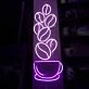 Coffee Beans and Cup Neon Sign