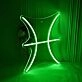 Pisces Zodiac Sign Neon