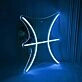Pisces Zodiac Sign Neon