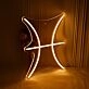 Pisces Zodiac Sign Neon