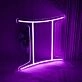 Gemini Zodiac Sign Neon