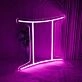 Gemini Zodiac Sign Neon