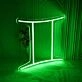 Gemini Zodiac Sign Neon
