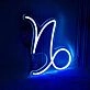 Capricorn Zodiac Sign Neon
