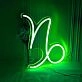 Capricorn Zodiac Sign Neon
