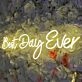 Best Day Ever Style 1 Neon Sign to Light Up Your Life
