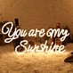 You Are My Sunshine Wedding Neon Sign
