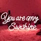 You Are My Sunshine Wedding Neon Sign