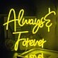 Always and Forever Wedding Neon Sign