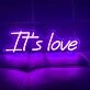 It's Love Wedding Neon Sign