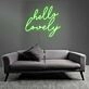 Charming Hello Lovely LED Neon Sign