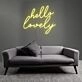 Charming Hello Lovely LED Neon Sign