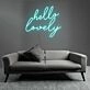 Charming Hello Lovely LED Neon Sign