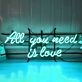 All You Need Is Love Elegant Iron Frame Neon Sign