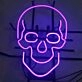 Skull Bold Iron Frame Neon Sign