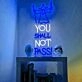 You Shall Not Pass Wizard Neon Sign