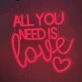 Romantic All You Need is Love Neon Sign