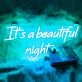 It's a Beautiful Night Marriage Room Wall Neon Sign