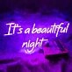 It's a Beautiful Night Marriage Room Wall Neon Sign