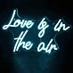 You’re Mine Wedding Neon Sign