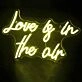 You’re Mine Wedding Neon Sign