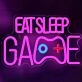 Eat Sleep Game Game Neon Sign