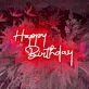 Happy Birthday Celebration Deco Neon Sign