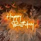 Happy Birthday Celebration Deco Neon Sign